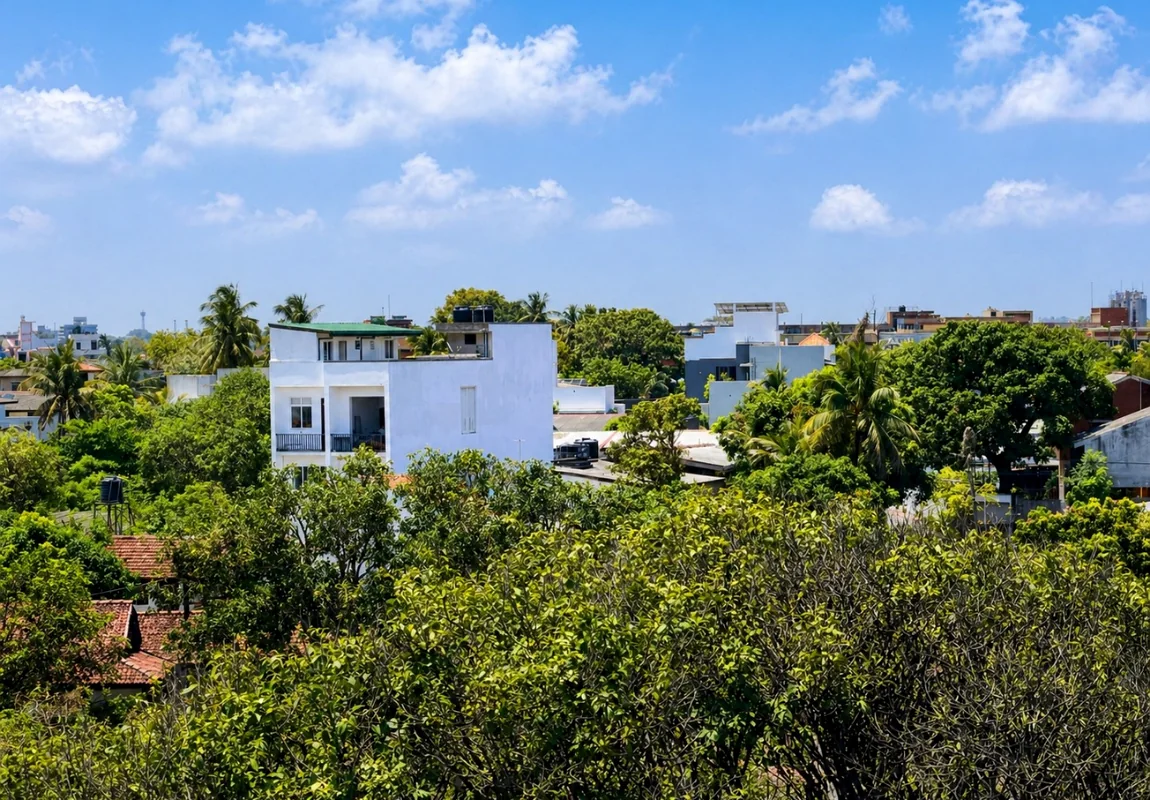 View From Rooftop