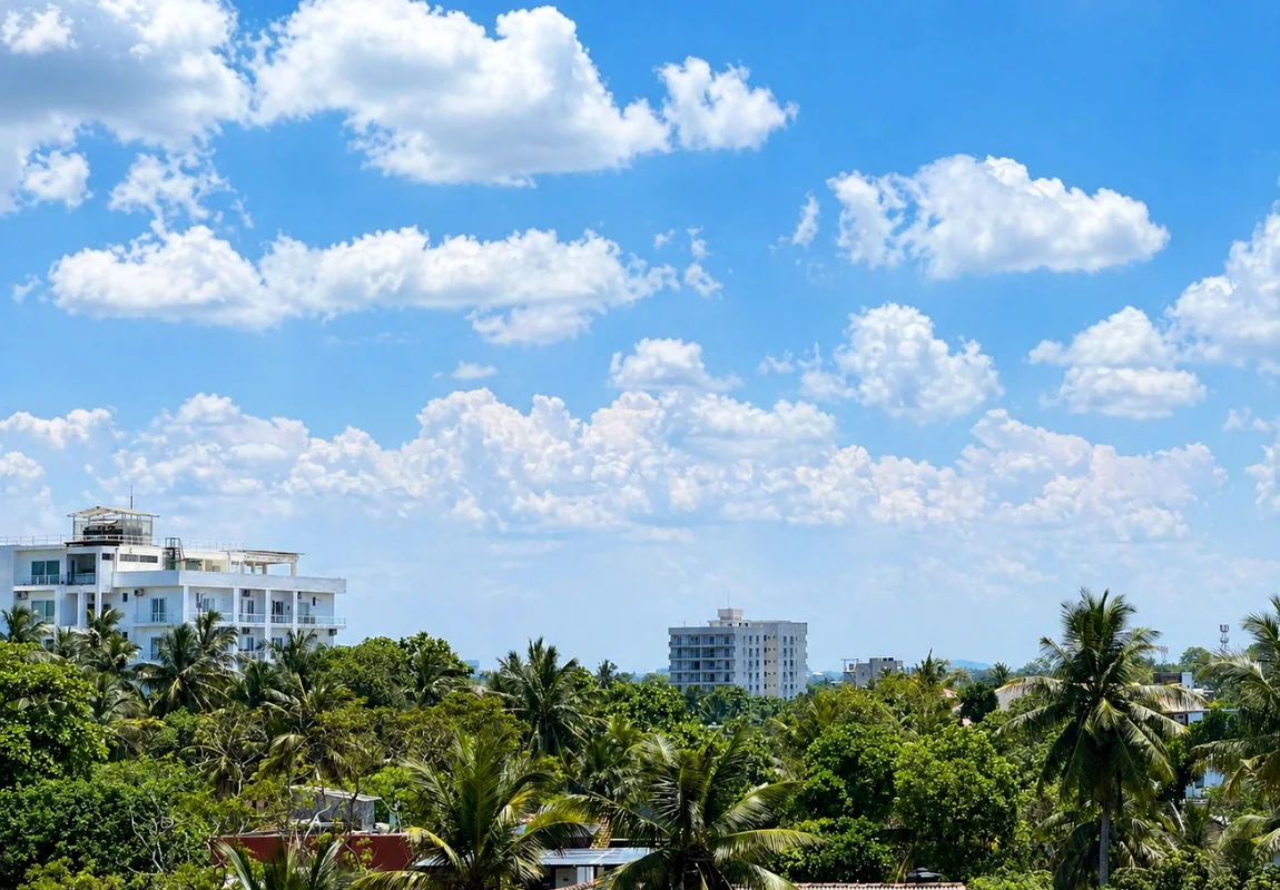 View From Rooftop 2